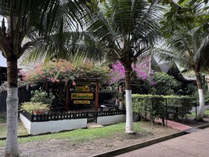Entrada del Restaurante Las Margaritas, rodeada de grandes palmeras con troncos pintados de blanco. El lugar cuenta con un letrero amarillo bajo una pérgola cubierta de flores fucsias y rosadas, delimitado por una pequeña valla de madera negra sobre una base blanca.