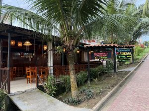 Fotografía de la fachada del establecimiento 'El Tigrillo' en Puerto Nariño. Hay un letrero colorido que indica un hospedaje. Dos grandes palmeras cargadas de cocos flanquean la entrada, y el lugar está situado junto a una calle peatonal de adoquines rojos que sube en pendiente.