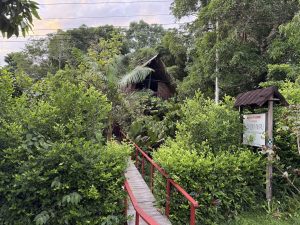 Fotografía de la entrada al Hospedaje Maloka Napü. Un sendero de tablas de madera con pasamanos rojos atraviesa una densa vegetación verde hacia una cabaña de madera con techo de palma. A la derecha, se observa un cartel informativo rústico bajo un pequeño techo de madera.