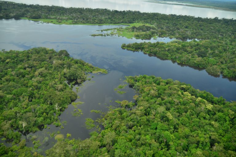 Vista aérea panorámica de un gran lago de aguas oscuras rodeado por una selva verde y frondosa. El agua refleja el cielo nublado, creando matices de azul y gris en su superficie. En la parte superior de la imagen, se observa el cauce principal de un río ancho que separa la densa vegetación del horizonte, bajo un cielo con nubes blancas dispersas.