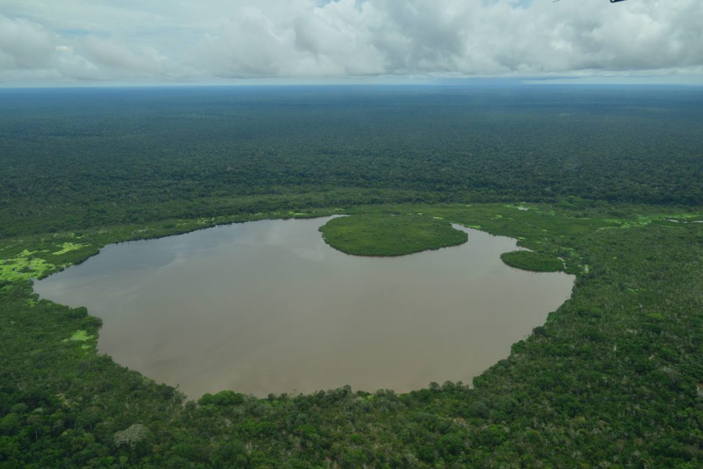 Vista aérea de una laguna circular de aguas color café rodeada de una selva densa y uniforme. En el interior de la laguna se observa una isla redonda de vegetación verde, creando un patrón de anillo de agua. El horizonte muestra la inmensidad del bosque tropical bajo un cielo cubierto de nubes blancas y grises.