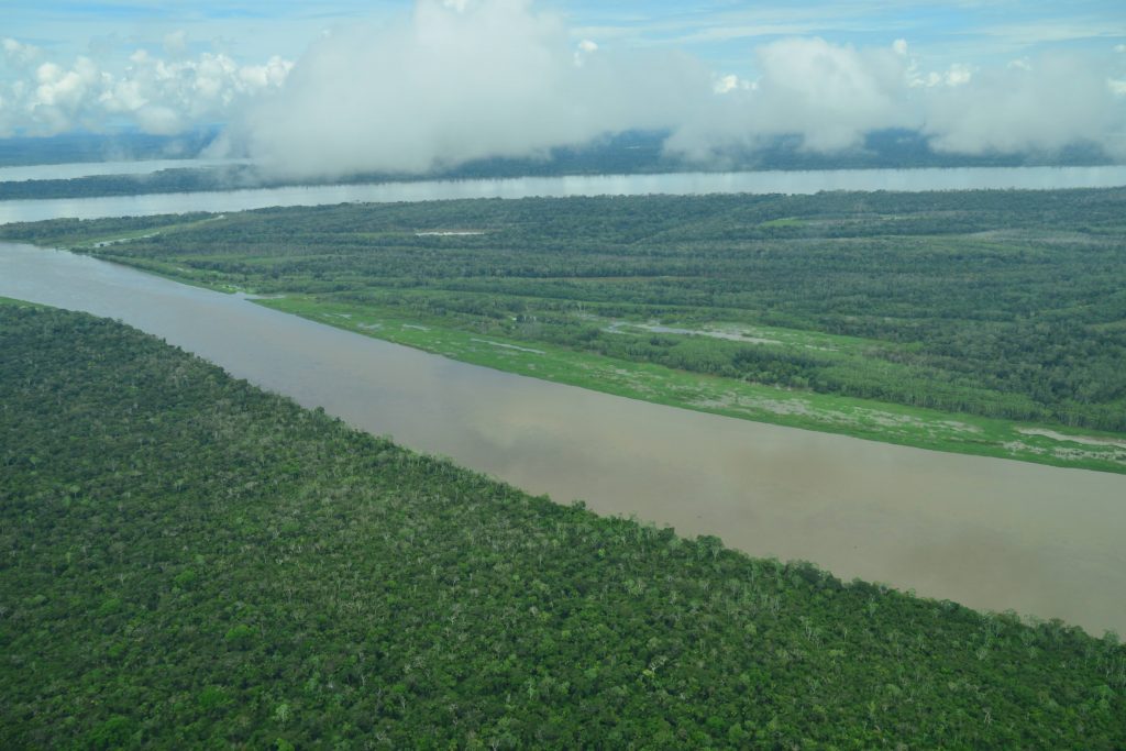 Vista aérea de la confluencia de varios ríos amazónicos de aguas color café que atraviesan una selva verde y densa. A lo largo de la orilla se observa una franja de vegetación baja y pantanosa antes de dar paso al bosque cerrado.