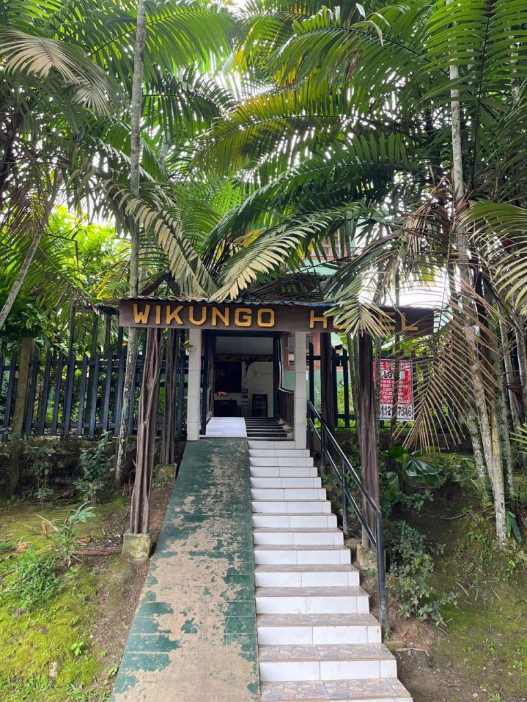 Fachada del Wikungo Hotel rodeada de naturaleza amazónica. Se observa la entrada rodeada de palmeras, escaleras de acceso y un diseño integrado con el entorno selvático.