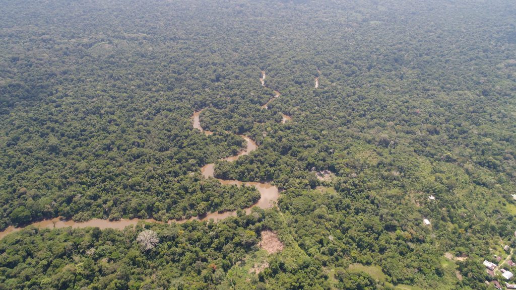 Vista aérea con dron de la densa selva amazónica y el curso serpenteante de un río marrón cerca de Puerto Nariño. Paisaje de biodiversidad tropical y bosque virgen en el Amazonas colombiano bajo una luz diurna clara.
