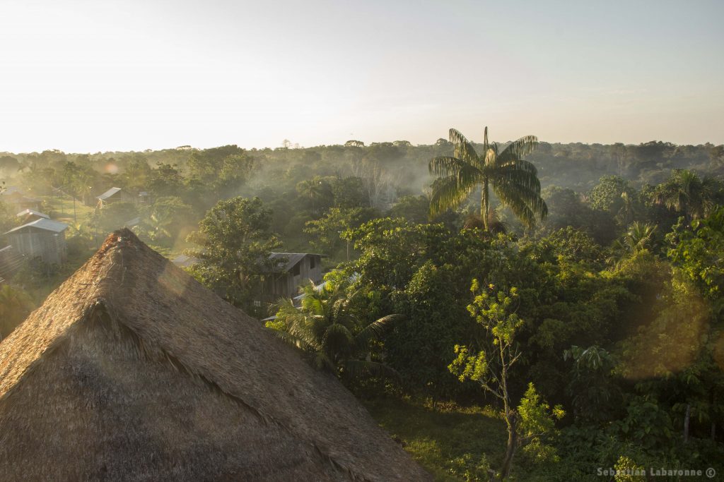 Amanecer brumoso sobre Puerto Nariño, Amazonas: vista aérea de techos de palma tradicionales y selva tropical iluminada por los primeros rayos del sol. Paisaje de sostenibilidad y arquitectura local en la Amazonía.